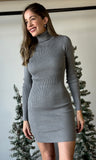 Turtle Neck Sweater Mini Dress