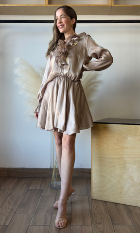 Ruffle Neck Elastic Organza Mini Dress