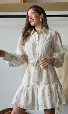 Gold Embroidered Collar Mini Dress